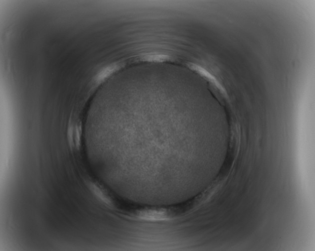 X0000085080110200703121711