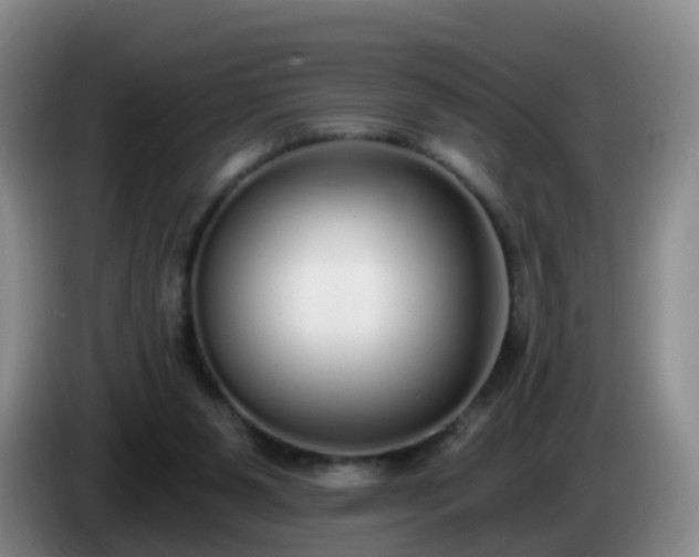 X0000085080111200703121711