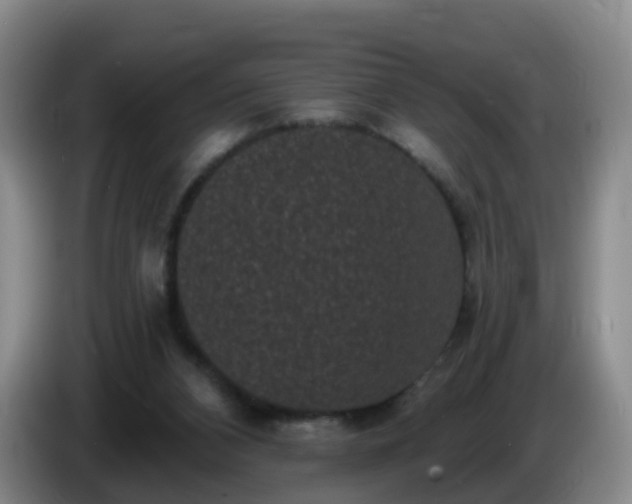 X0000085080112200703121711