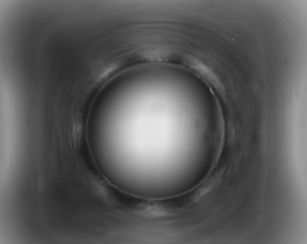 X0000085080113200703121711