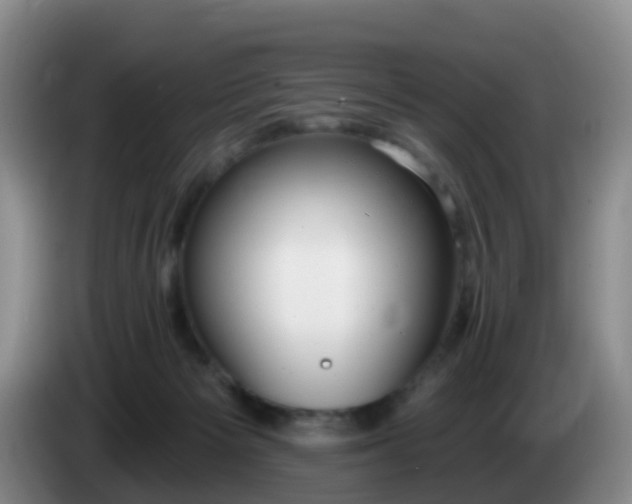 X0000085080125200703121711