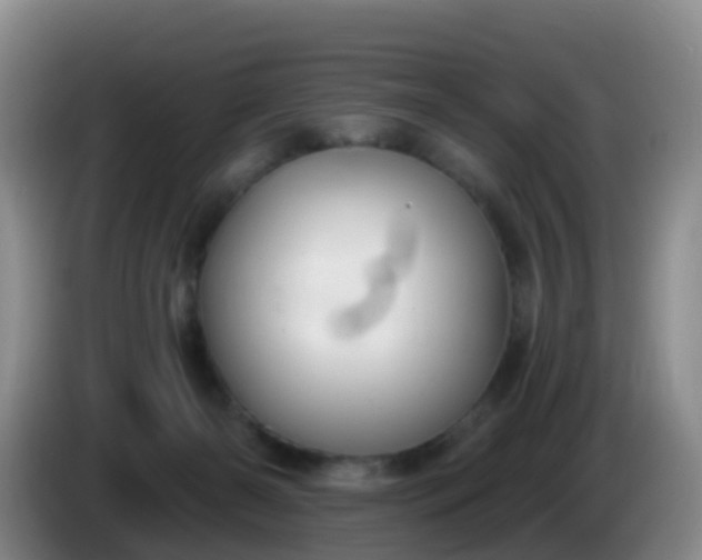 X0000085080126200703121711