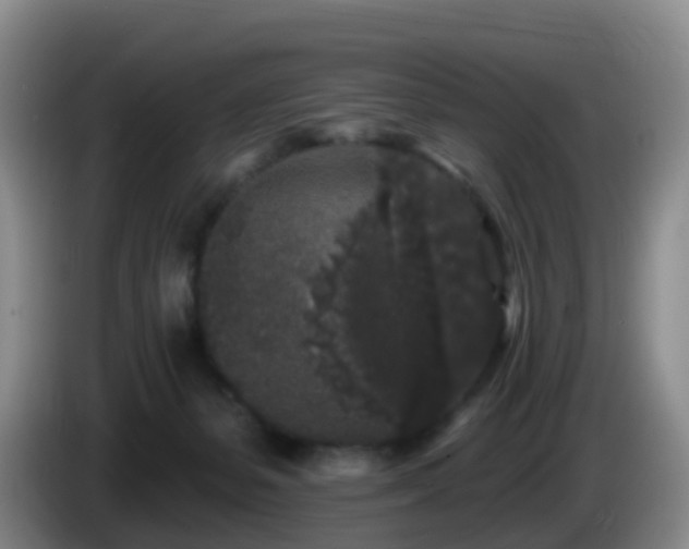 X0000085080127200703121711