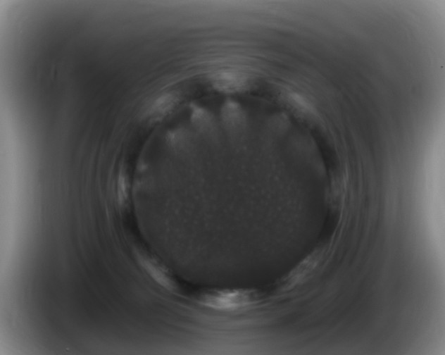 X0000085080130200703121711