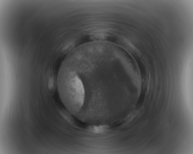 X0000085080134200703121711