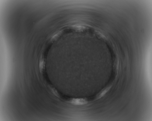 X0000085080137200703121711