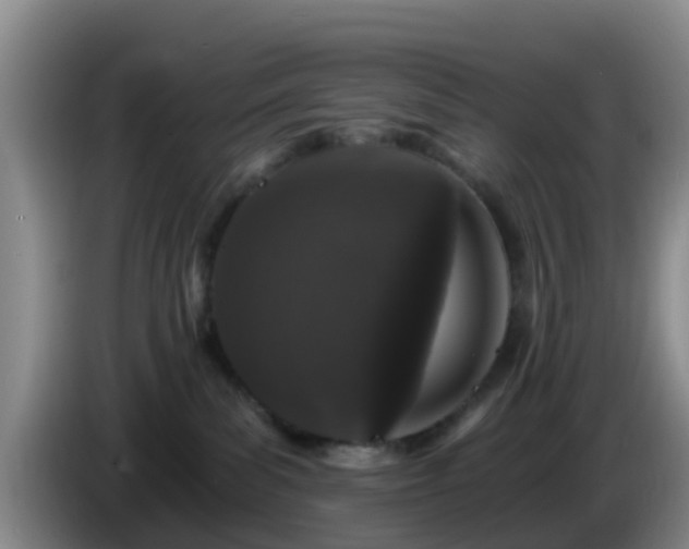 X0000085080139200703121711