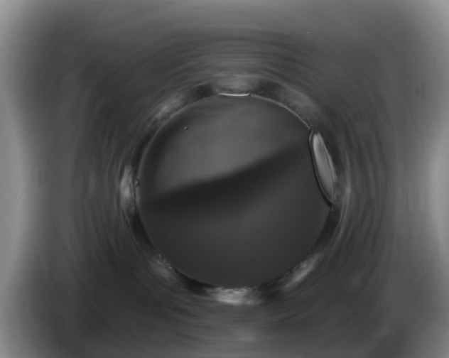 X0000085080143200703121711