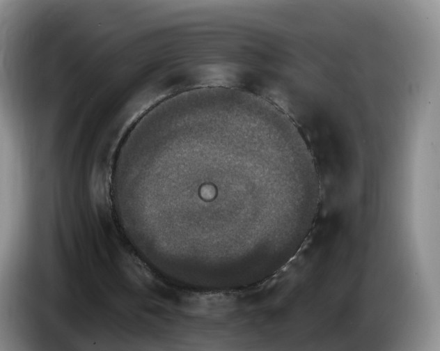 X0000085080146200703121710