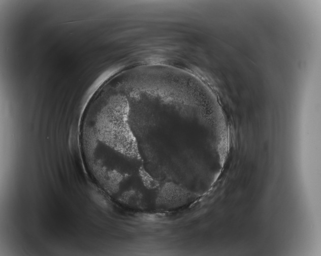 X0000085080147200703121710