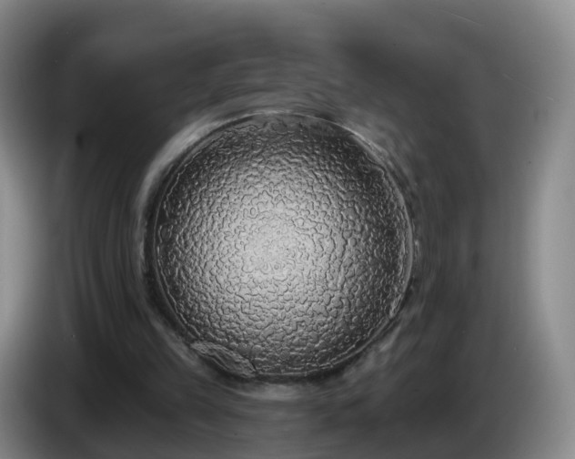 X0000085080149200703121710