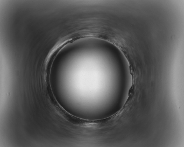 X0000085080150200703121710