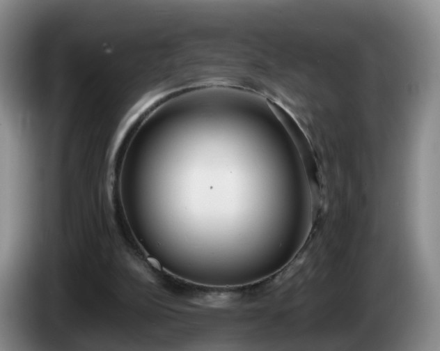 X0000085080152200703121710