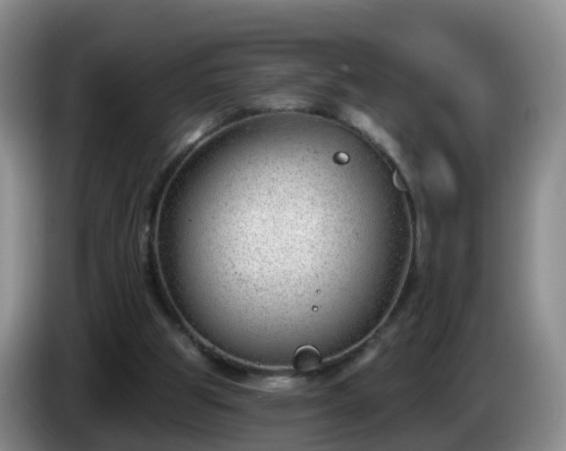 X0000085080153200703121710