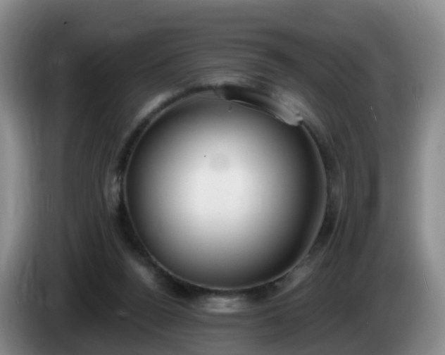 X0000085080160200703121710