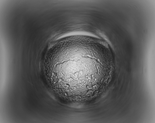 X0000085080161200703121710