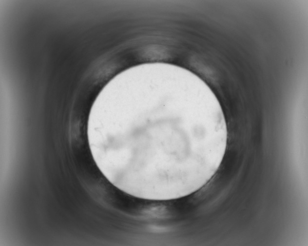 X0000085080162200703121710