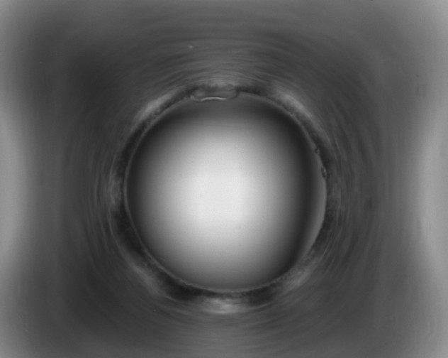 X0000085080164200703121710