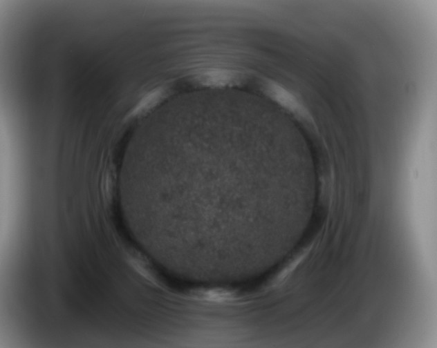 X0000085080165200703121710