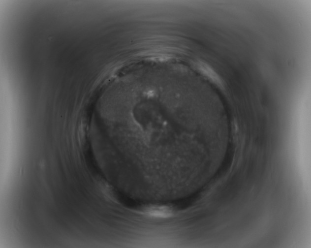 X0000085080169200703121710