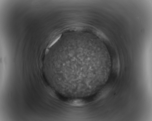 X0000085080173200703121710