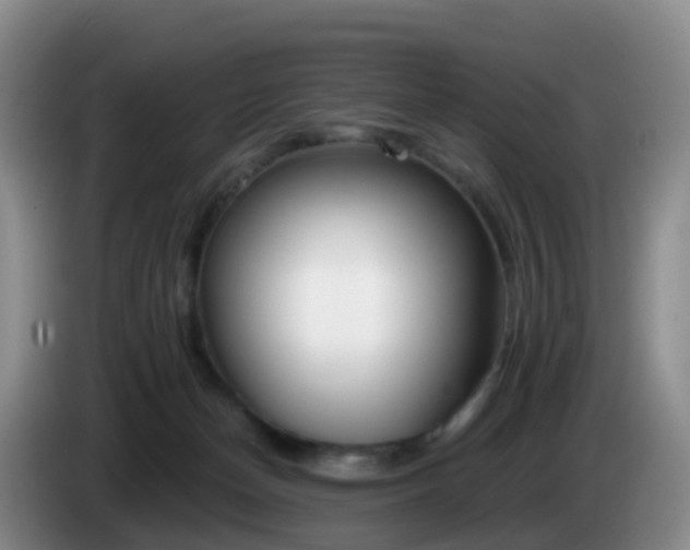 X0000085080174200703121710