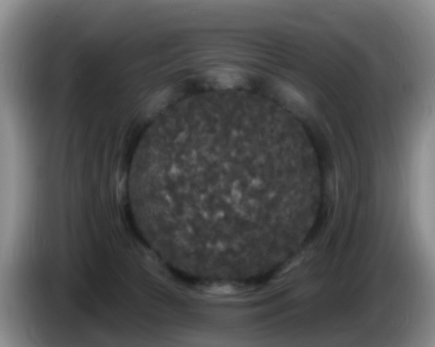 X0000085080177200703121710