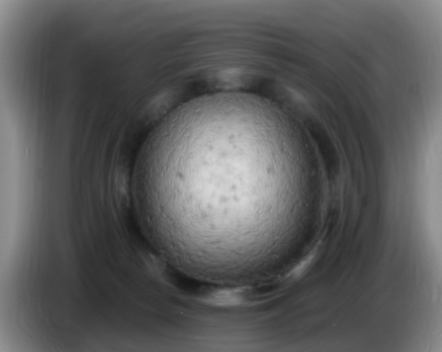 X0000085080178200703121710