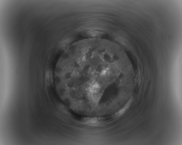 X0000085080182200703121710