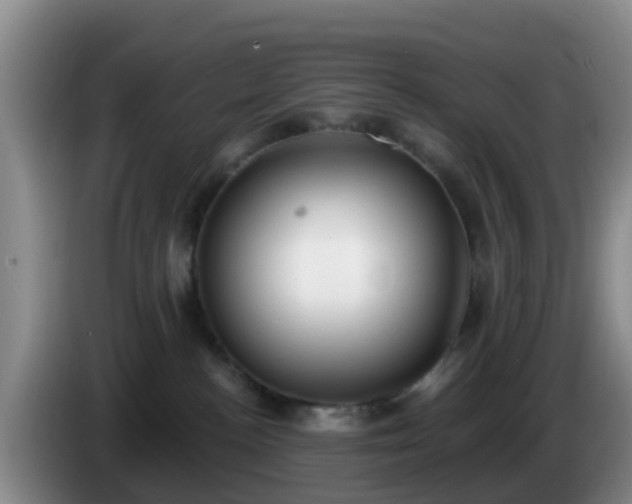 X0000085080188200703121711