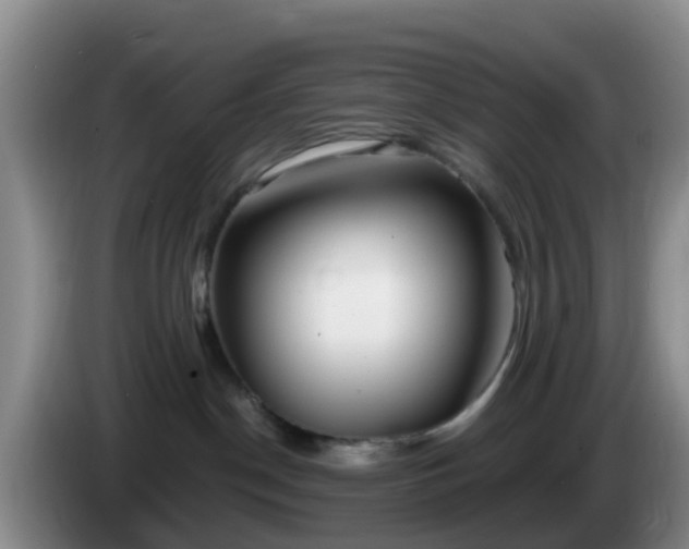 X0000085080190200703121711