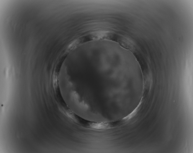 X0000085080191200703121711