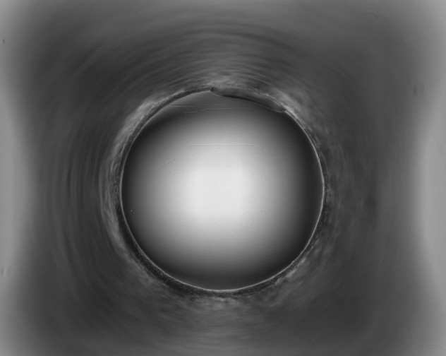 X0000085080193200703121710