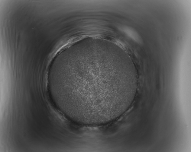 X0000085080194200703121710