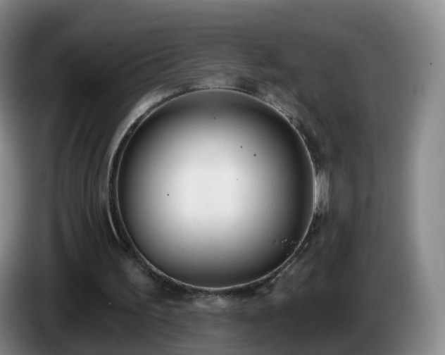 X0000085080195200703121710