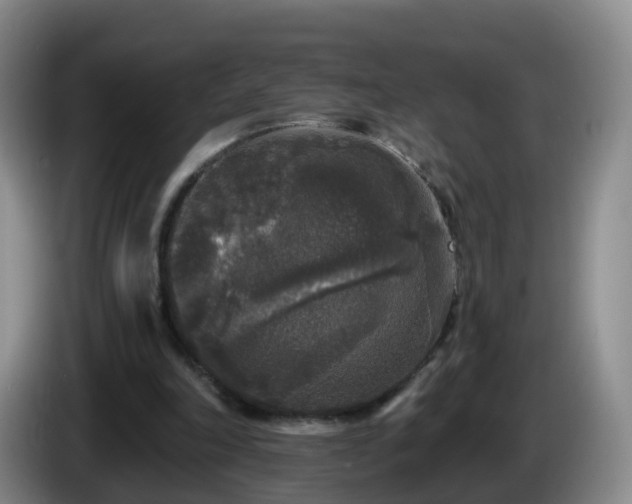 X0000085080198200703121710