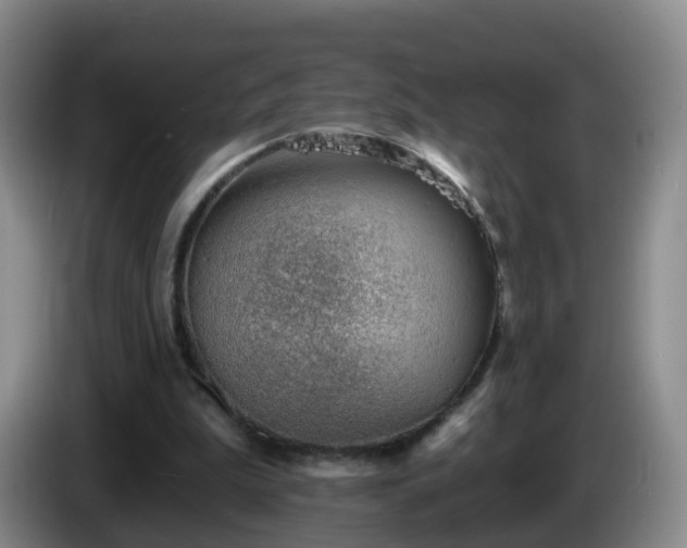 X0000085080199200703121710