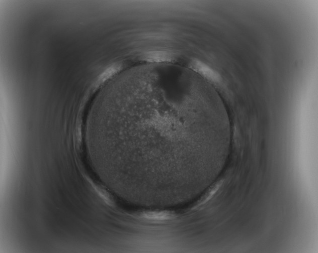 X0000085080202200703121710