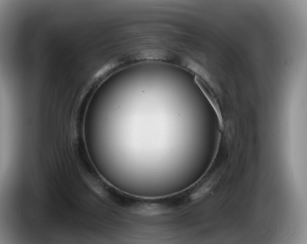 X0000085080203200703121710