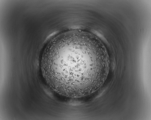 X0000085080207200703121710