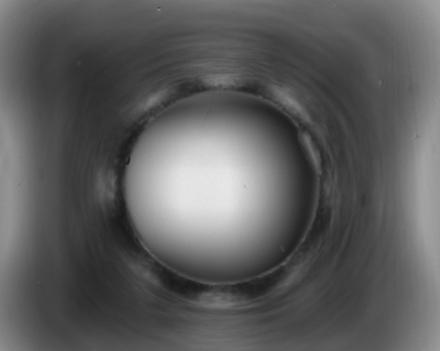 X0000085080211200703121710