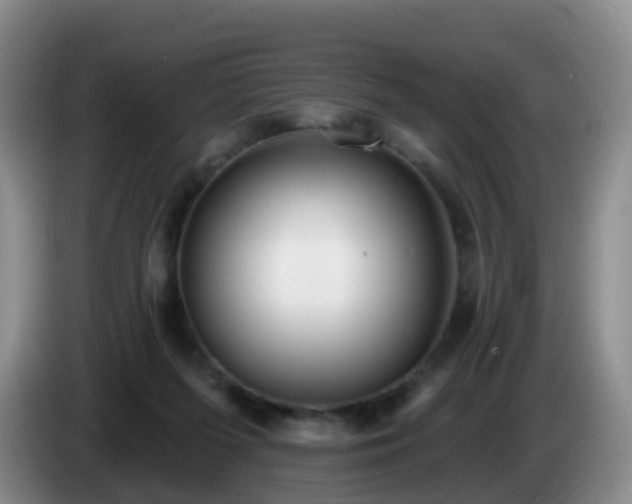 X0000085080215200703121710