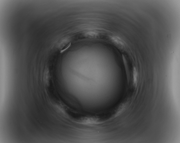 X0000085080223200703121710