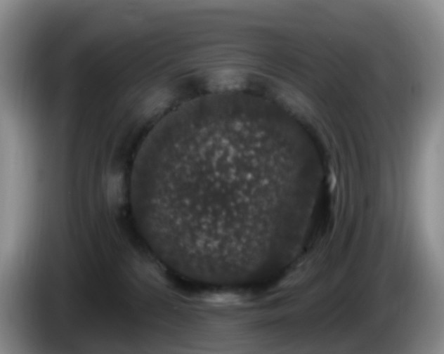 X0000085080224200703121710