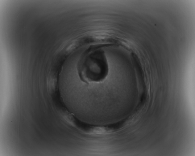 X0000085080227200703121710