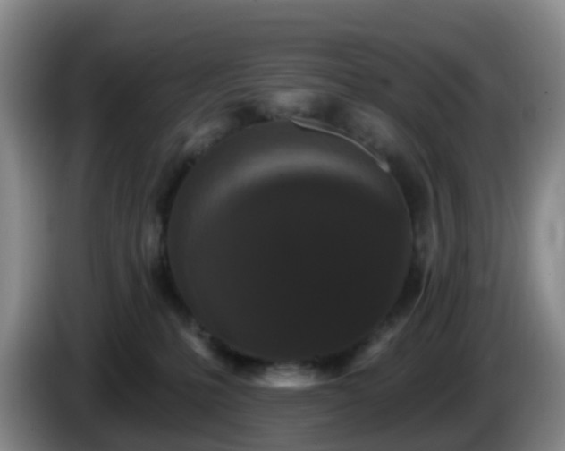 X0000085080231200703121709