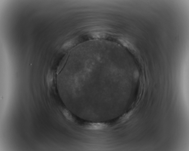 X0000085080233200703121709