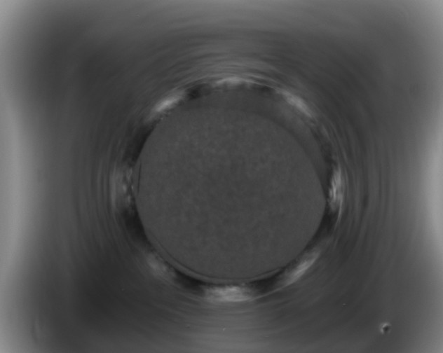 X0000085080237200703121709