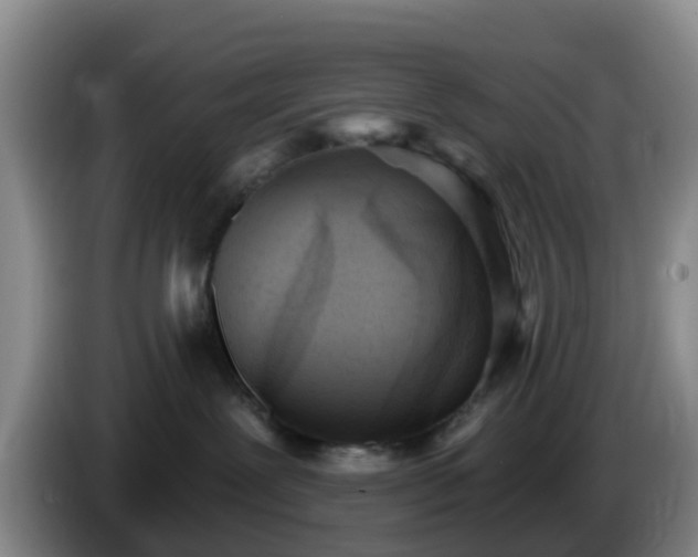 X0000085080239200703121709