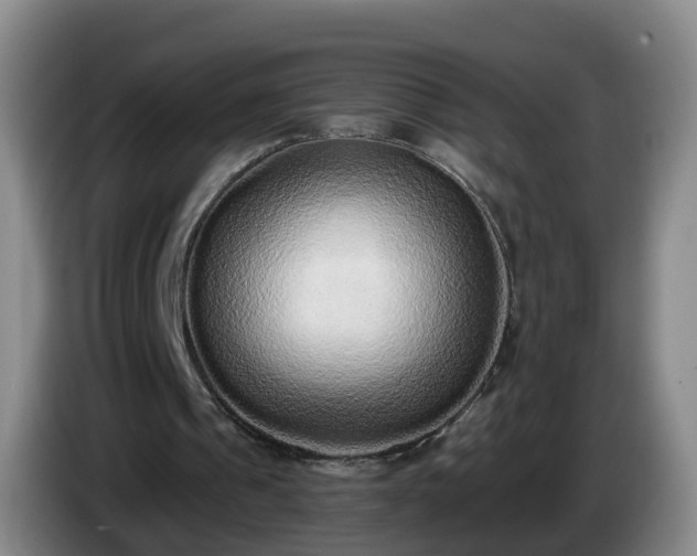 X0000085080241200703121709